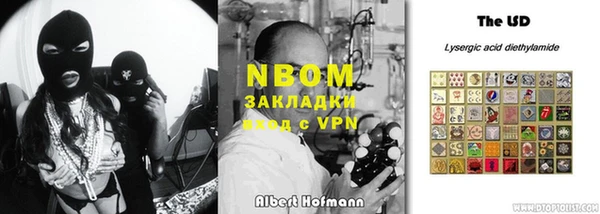 молекула духа Ельня