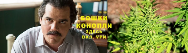 эйфоретик Елизово