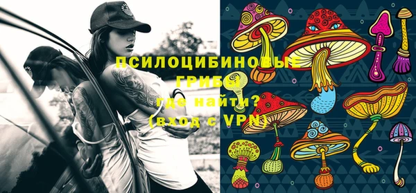 соль курить ск Заводоуковск