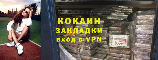 твердый Инта