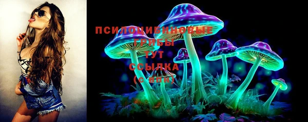 apvp Заволжье