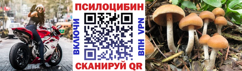 Псилоцибиновые грибы мицелий  Кораблино 